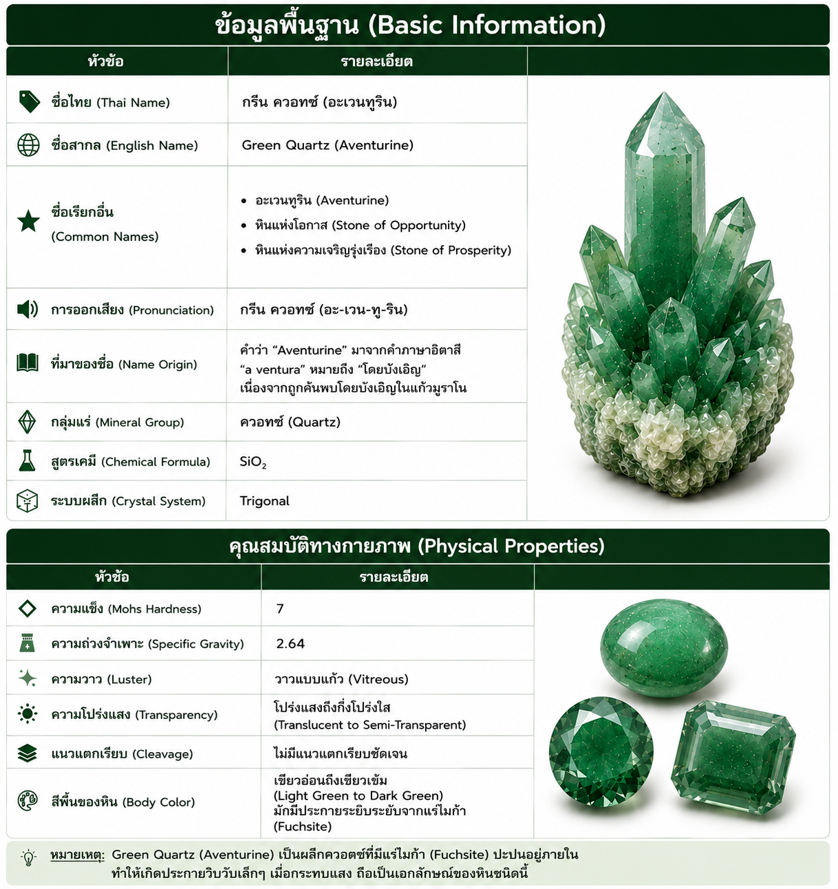 Green Quartz (Aventurine) หรือ กรีนควอตซ์ อเวนเจอรีน หินควอตซ์สีเขียวธรรมชาติ แสดงข้อมูลพื้นฐาน สูตรเคมี คุณสมบัติทางกายภาพ ความแข็ง สี ความโปร่งแสง และระบบผลึก